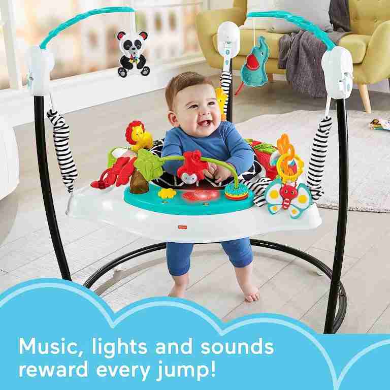 The Fisher-Price Animal Wonders Jumperoo