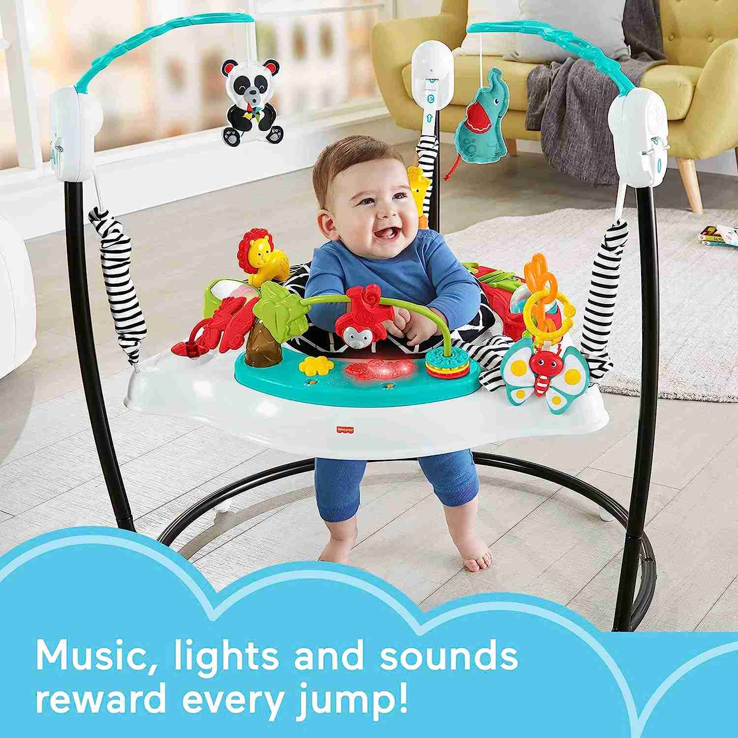 The Fisher-Price Animal Wonders Jumperoo
